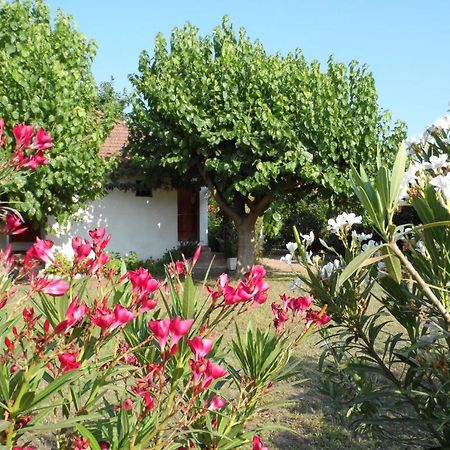 Engin Pension Çıralı Dış mekan fotoğraf