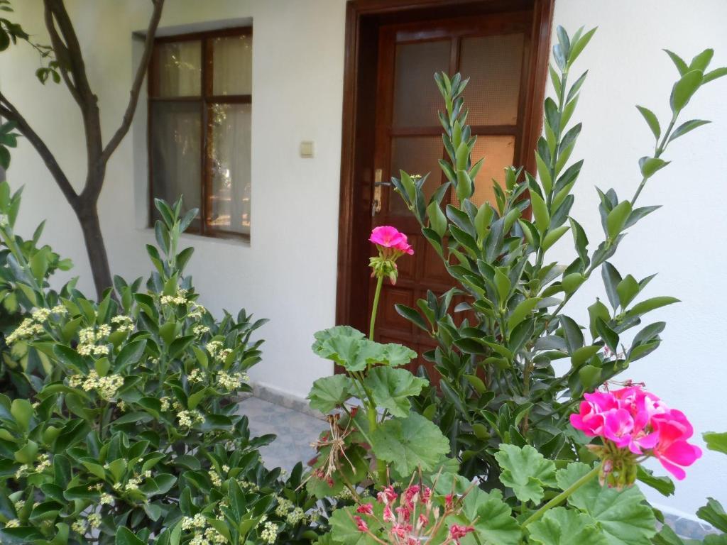 Engin Pension Çıralı Oda fotoğraf