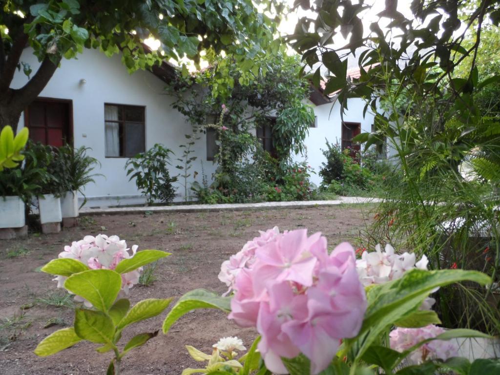 Engin Pension Çıralı Dış mekan fotoğraf